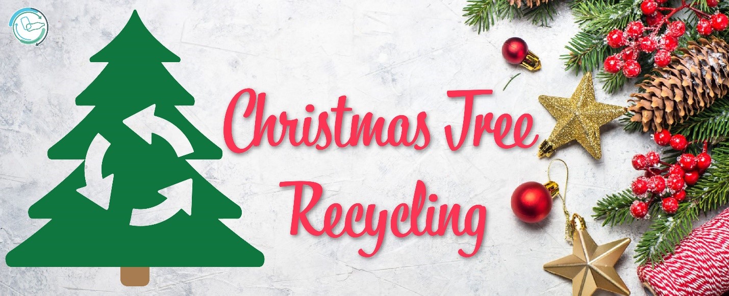 Christmas Tree Recycling and Reuse Ideas